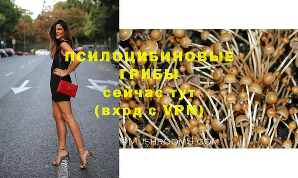 твердый Бронницы
