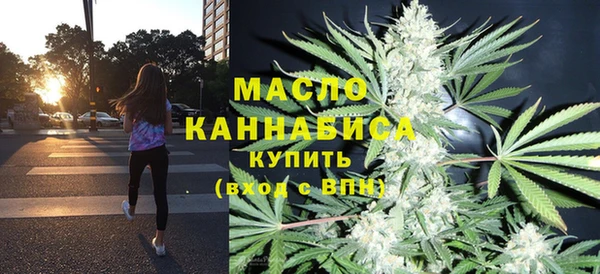 spice Богородицк