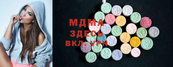 spice Богородицк