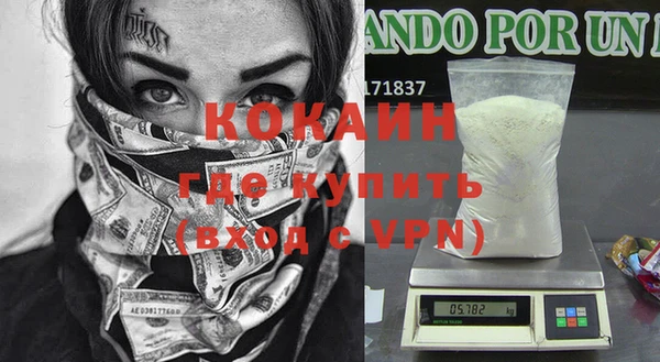 мяу мяу мука Бородино