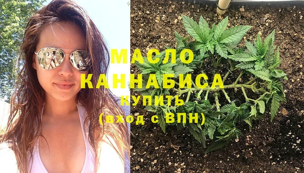spice Богородицк