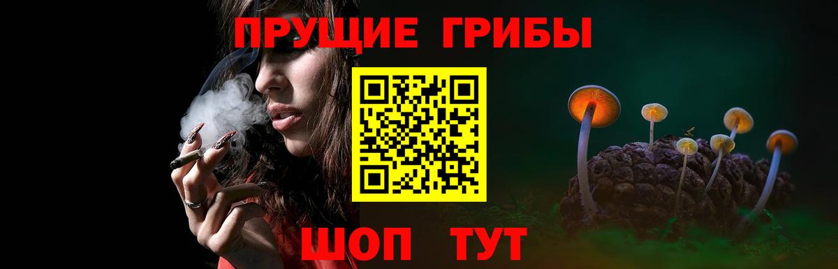 Псилоцибиновые грибы MAGIC MUSHROOMS  Вход с VPN  Видное 